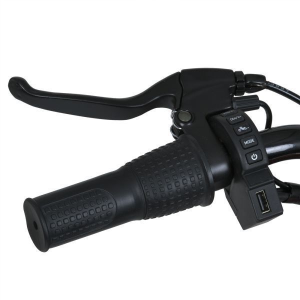Мотоцикл M 6016AL-3(36V) (арт. 306656) &mdash; купить в Украине |  Колисочка