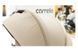 Коляска універсальна CARRELLO Omega CRL-6540/1 Asteroid Beige (2in1) (арт. Нем6249) &mdash; фото 4 купити в Україні | KolysochkaBaby