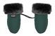 Рукавиці Bair Northmuff amazing green зелений (арт. 681788) &mdash; фото 1 купити в Україні |  Колисочка