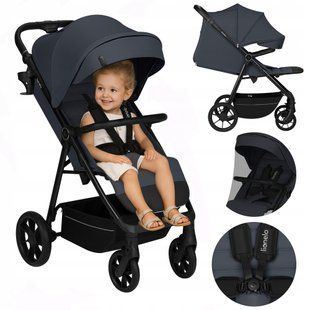 Прогулочная коляска Lionelo IVA GREY GRAPHITE (арт. 112116682) &mdash; купити в Україні |  Колисочка