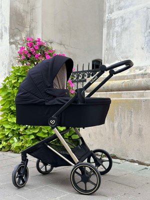 Дитяча універсальна коляска 2 в 1 Kidwell Velmont black/gold KVB/G фото