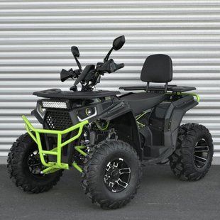 Квадроцикл AFB200L-2-5 (арт. 344747) &mdash; купить в Украине |  Колисочка