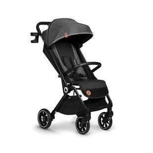 Прогулочная коляска Lionelo CLOE GREY STONE (арт. 59854473) &mdash; купити в Україні |  Колисочка